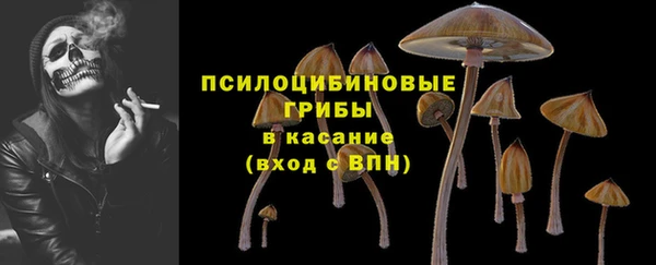 СК Дмитриев