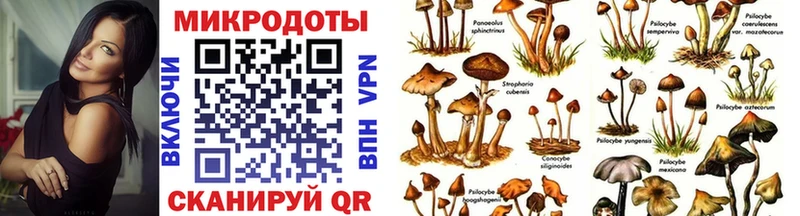Галлюциногенные грибы Cubensis  Дмитриев 